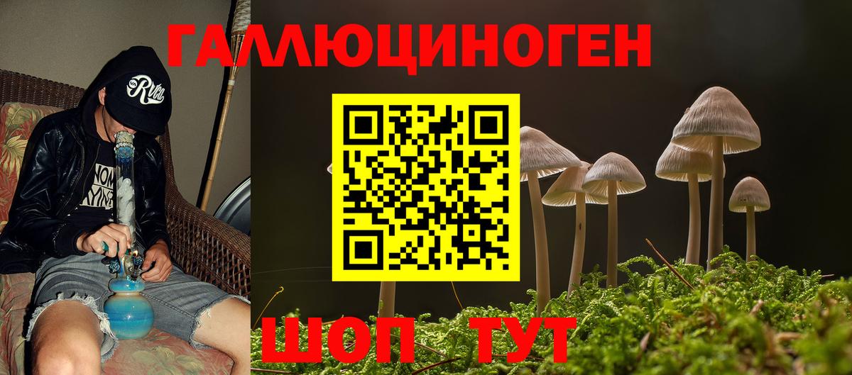 Галлюциногенные грибы Psilocybine cubensis  Вход с VPN  Сафоново  закладка  Псилоцибиновые грибы мухоморы 